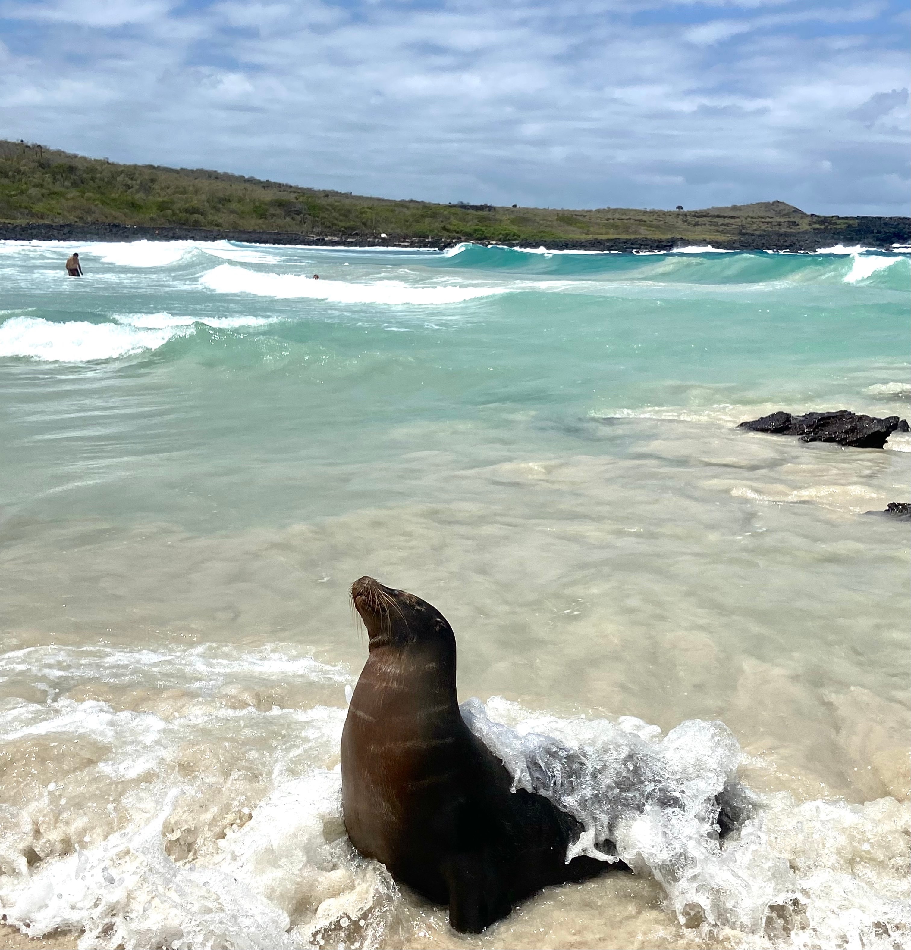 Pristine Beaches